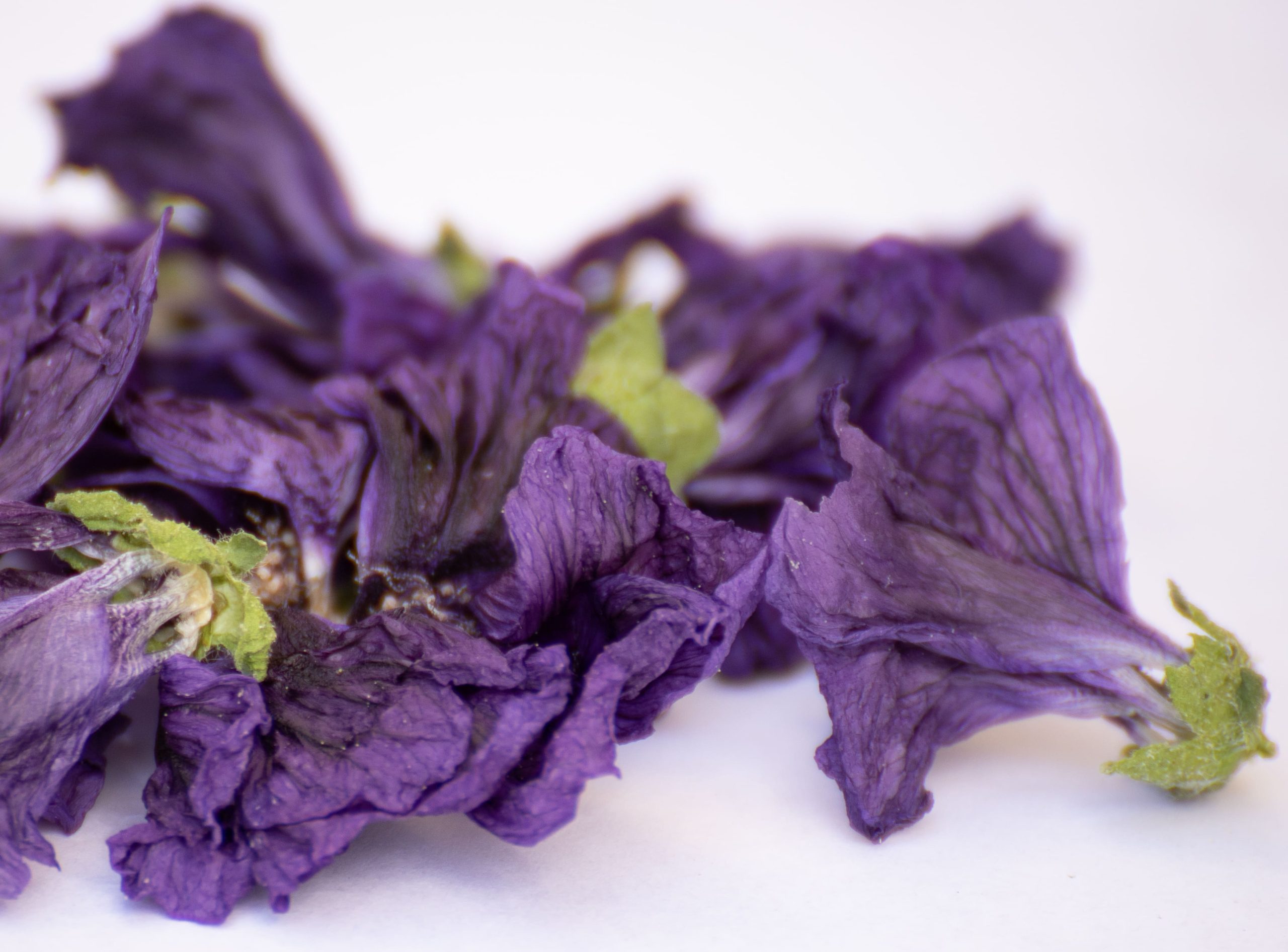 mauve Mauritanie, infusion, Vienne